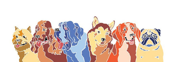 Plush Puppy Brush &amp; Shampoo